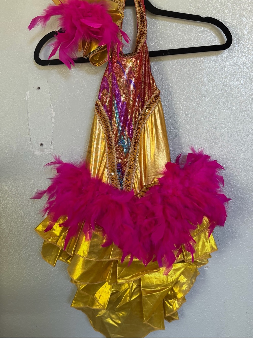 Gold and Hot Pink Feather Dance Costume